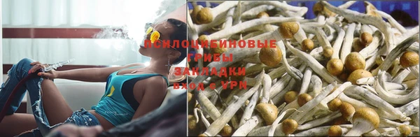 мяу мяу мука Костерёво